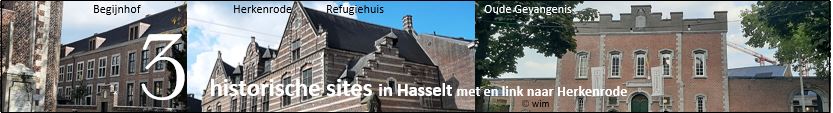 drie historische sites in Hasselt image